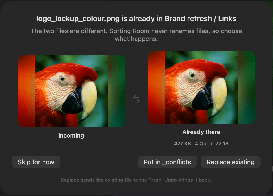 Name-clash sheet: “logo_lockup_colour.png is already in Brand refresh / Links. The two files are different. Sorting Room never renames files, so choose what happens.” Options: Skip for now, Put in _conflicts, Replace existing.
